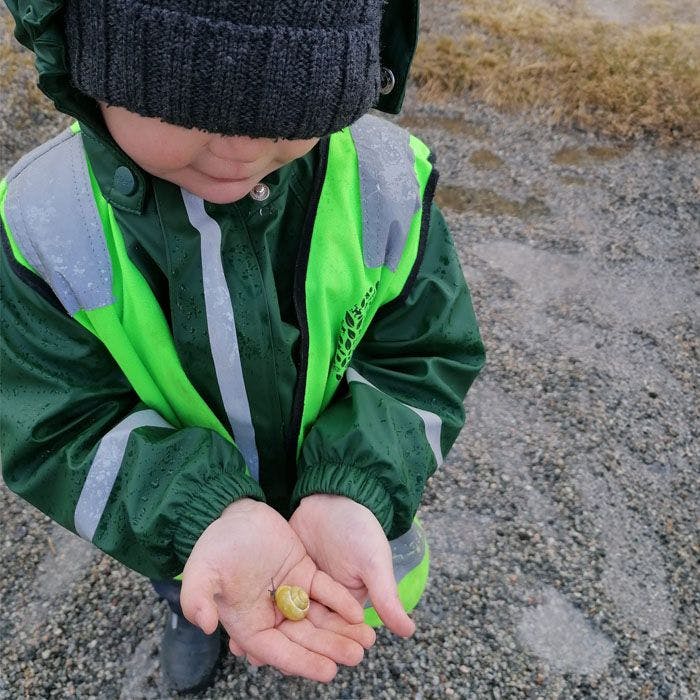 Barn holder sneglehus i hendene
